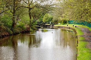 Rochdale Canal | Between Second Below Punchbowl Lock (42) and Thickone Lock (43) | 1 May 2023