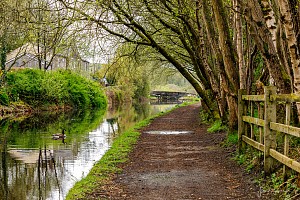 Rochdale Canal | Between Sladen Lock (44) and Pike House Lock (45) | 1 May 2023