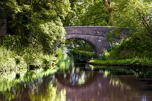 Rochdale Canal | Belfield Bridge (56) | 15 June 2021