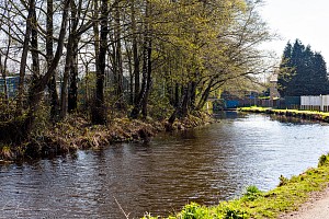 Rochdale Canal | Between Lodge Bridge (53) and Smithy Bridge (54) | 18 April 2023