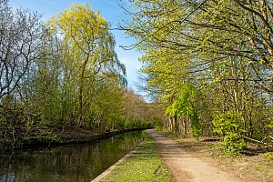 Rochdale Canal | Between Well i'th' Lane Bridge No 61 and Dicken Green Bridge No 62 | 22 April 2021
