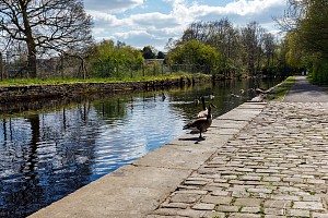 Rochdale Canal | Between Well i'th' Lane Bridge (61) and Dicken Green Bridge (62) | 25 April 2023