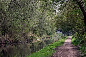 Rochdale Canal | Between Belfield Bridge (56) and Coppy Bridge (57) | 26 April 2023