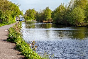 Rochdale Canal | Between Trub Bridge (65C) and First Laneside Lock (54) | 3 May 2023
