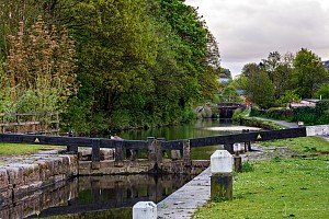 Rochdale Canal | Pinnel Lock (26)  | 10 May 2023
