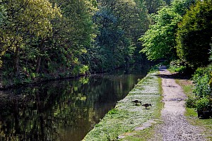 Rochdale Canal | Between Copperas House Bridge (32) and Smithyholm Lock (25) | 13 May 2023