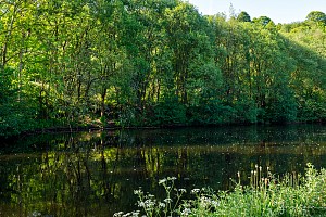 Rochdale Canal | Baltimore Winding Hole | 27 May 2023