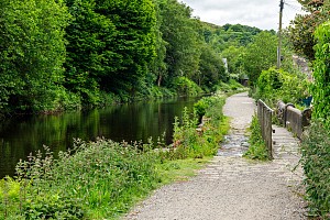 Rochdale Canal | Between Old Royd Lock (17) and Kilnhurst Bridge (28) | 1 June 2023