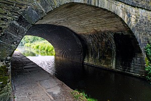 Rochdale Canal | Under Longbottom Bridge (4) | 1 July 2023