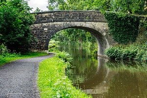 Rochdale Canal | Ellen Royd Bridge (7) | 15 July 2023