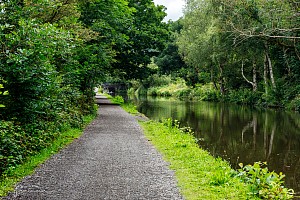 Rochdale Canal | Between Ellen Royd Bridge (7) and Stony Spring Bridge (7A) | 15 July 2023