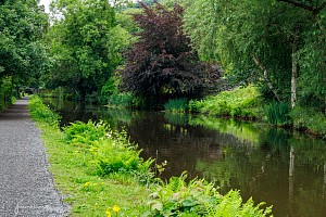 Rochdale Canal | Between Brearley Lower Lock (5) and Brearley Upper Lock (6) | 15 July 2023
