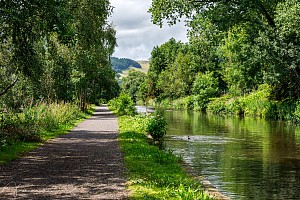Rochdale Canal | Between Brearley Bridge (8) and Brearley Upper Bridge (9) | 16 July 2023