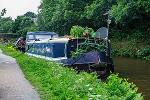 Rochdale Canal | Narrowboat moored between Halifax Road Bridge (10) and White Lee Bridge (11) | 16 July 2023