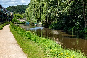 Rochdale Canal | Between White Lee Bridge (11) and Red Acre Bridge (12) | 29 July 2023