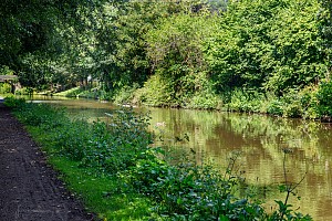 Rochdale Canal | Between Red Acre Bridge (12) and Broadbottom Bridge (13) | 29 July 2023