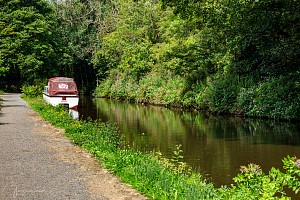Rochdale Canal | Between Broadbottom Lock (7) and Falling Royd Bridge (14) | 29 July 2023
