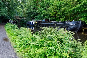 Rochdale Canal | Boats mooredd close to Mayroyd Bridge (15) | 30 July 2023