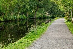 Rochdale Canal | Between Callis Lock (13) and Burnt Acres Bridge (22) | 9 August 2023