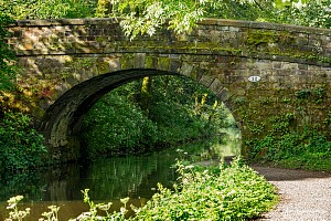 Rochdale Canal | Burnt Acres Bridge (22) | 9 August 2023