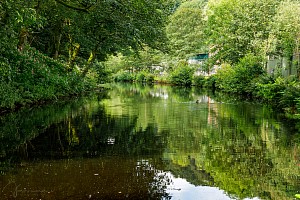 Rochdale Canal | Between Burnt Acres Bridge (22) and Holmcoat Bridge (23) | 9 August 2023