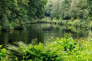 Rochdale Canal | Winding Hole between Burnt Acres Bridge (22) and Holmcoat Bridge (23) | 9 August 2023