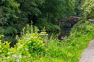 Rochdale Canal | Approaching Holmcoat Bridge (23) | 9 August 2023