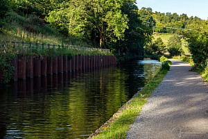 Rochdale Canal | Between Shawplains Lock (15) and Lobb Mill Lock (16) | 11 August 2023