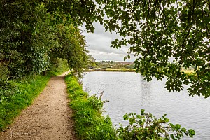 Rochdale Canal | Between Higher Boarshaw Bridge (70) and Coney Green Lock (62) | 12 August 2023