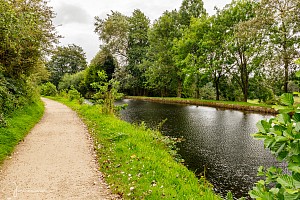 Rochdale Canal | Between Coney Green Lock (62) and Walkmill Lock (63) | 12 August 2023