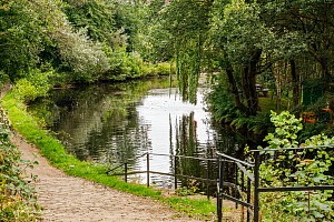 Rochdale Canal | Between Walkmill Bridge (71) and the River Irk Aqueduct | 12 August 2023