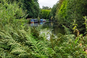Rochdale Canal | Between the River Irk Aqueduct and the Rose of Lancaster Visitor Moorings | 13 August 2023