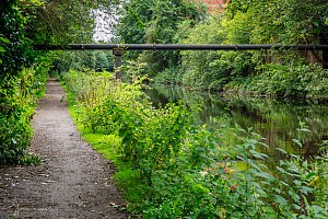 Rochdale Canal | Pipe Bridge between Oldham Road Bridges (72 & 73) and Laurel Avenue Bridge (74) | 13 August 2023