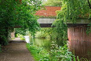 Rochdale Canal | Laurel Avenue Bridge (74) | 13 August 2023