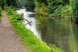 Rochdale Canal | Between Laurel Avenue Bridge (74) and Firwood Footbridge (75) | 22 August 2023