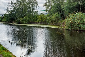 Rochdale Canal | Causeway Bridge Winding Hole | 22 August 2023