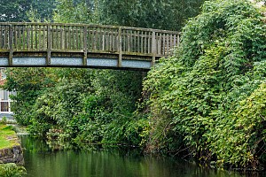 Rochdale Canal | Firwood Footbridge (75) | 22 August 2023