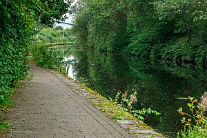 Rochdale Canal | Between Causeway Bridge (76) and Broadway Bridge (76A) | 23 August 2023