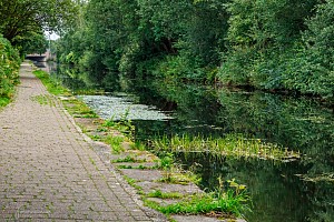 Rochdale Canal | Approaching Broadway Bridge (76A) | 23 August 2023