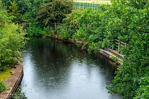 Rochdale Canal | Between M60 Tunnel and Hollinwood Avenue Bridge (77) | 23 August 2023
