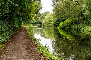 Rochdale Canal | Between Henshaw Bridge (77A) and Wrigley Head Bridge (78) | 27 August 2023