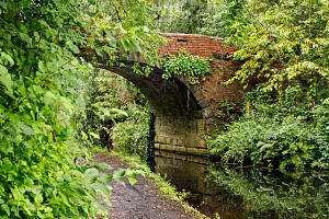 Rochdale Canal | Wrigley Head Bridge (78) | 27 August 2023