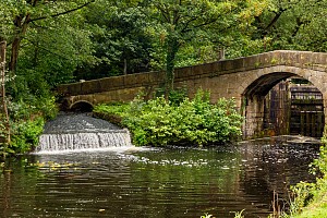 Rochdale Canal | Looking back  at Bridge (78B) | 27 August 2023