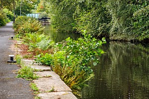 Rochdale Canal | Between Scotchman's Lock (72) and Ten Acres Higher Lock (73) | 17 September 2023