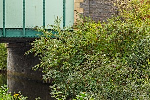 Rochdale Canal | Ten Acres Bridge (83) | 17 September 2023