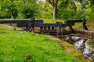 Rochdale Canal | Drunken Bridge Lock (74) | 17 September 2023