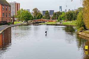 Rochdale Canal | Butler Lane Lock Winding Hole | 4 October 2023