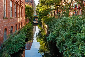 Rochdale Canal | Between Chorlton Street Bridge (95) & Sackville Street Bridge (96) | 25 October 2023